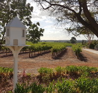 'In The Vines' Guest Cottage - St Kilda Accommodation