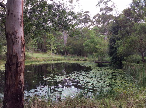Maleny Country Cottages - St Kilda Accommodation 3
