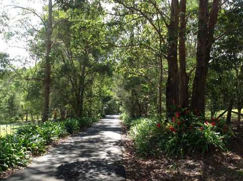 Maleny Country Cottages - St Kilda Accommodation 8
