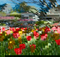 Nesuto Leura Gardens Hotel - St Kilda Accommodation