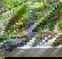 O'Reilly's Rainforest Retreat - St Kilda Accommodation