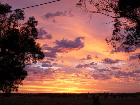 A Sunset View Bed And Breakfast - St Kilda Accommodation 0