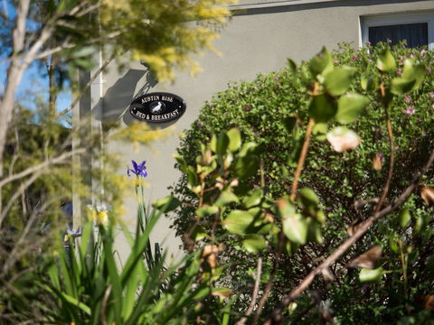 Austin Rise B&B - St Kilda Accommodation 1