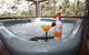 Banjos Bushland Retreat - thumb 2