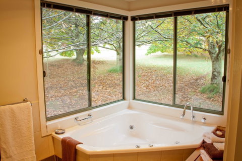 Chestnut Glade - St Kilda Accommodation 4