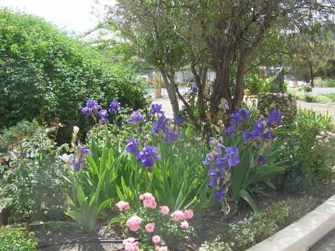Garden Motor Inn (Golden Chain) - St Kilda Accommodation 7
