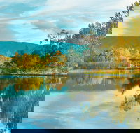 Kingbilli - St Kilda Accommodation