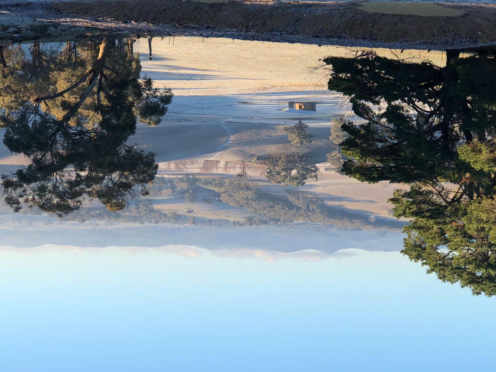 Forest Reefs NSW St Kilda Accommodation