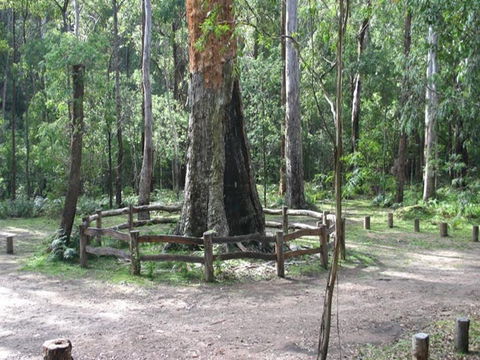 Six Mile Creek Campground - St Kilda Accommodation 0
