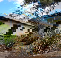 Adonis Dream - St Kilda Accommodation