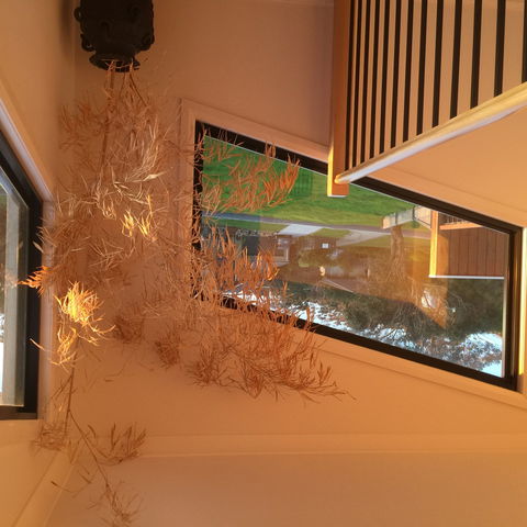 Barefoot Beach Stays - St Kilda Accommodation 1