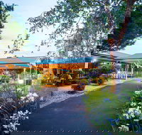 Bonville Lodge Pet Friendly B and B - St Kilda Accommodation