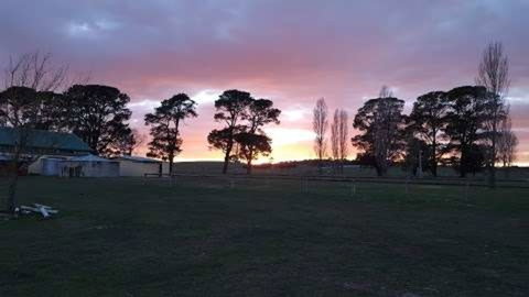 Braidwood Showground - Caravans And Camping - St Kilda Accommodation 0