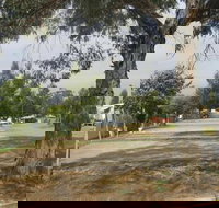 Country Acres Caravan Park - St Kilda Accommodation