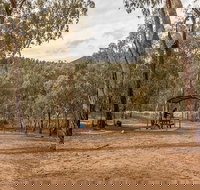 Pinch River campground - St Kilda Accommodation