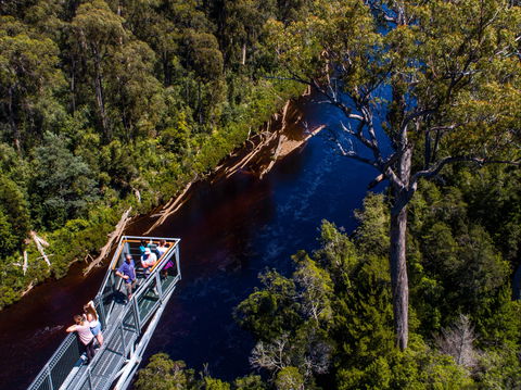 Tahune Adventures Tasmania - Lodge And Cabin - St Kilda Accommodation 1