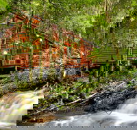 The Mouses House - Rainforest Retreat - St Kilda Accommodation