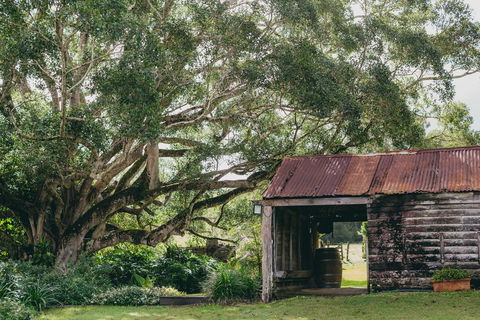 The Eumundi Dairy - St Kilda Accommodation 2