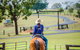 Tobruk Sydney Farm Stay - thumb 0