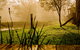 Tobruk Sydney Farm Stay - thumb 1