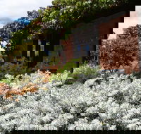 Kangaroos in the Top Paddock - St Kilda Accommodation