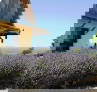 MillDuck StrawBale BB - St Kilda Accommodation