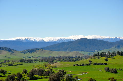 Riverview Lodge - St Kilda Accommodation 0