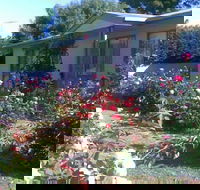 Sea Rose - St Kilda Accommodation