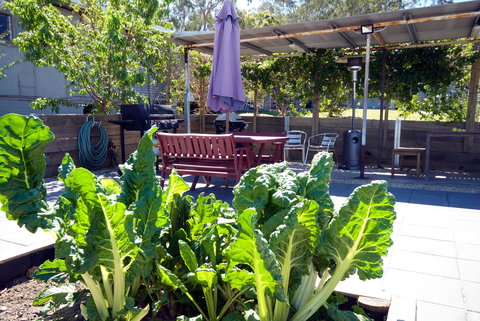 The Jabiru Motel - St Kilda Accommodation 2