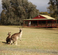 The Pokolbin Cabins - St Kilda Accommodation