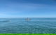 Topdeck At Snelling Beach - thumb 1