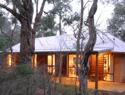 Forest Rise Eco Retreat - St Kilda Accommodation 2