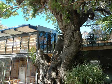 The Painted Fish - St Kilda Accommodation 3