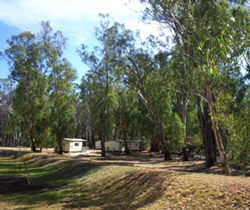 Balranald Caravan Park - St Kilda Accommodation 0