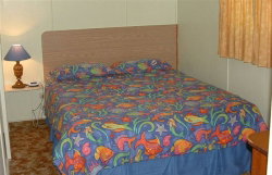 Sun Valley Tourist Park - St Kilda Accommodation 0