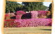 Capricorn Holiday Park - thumb 3