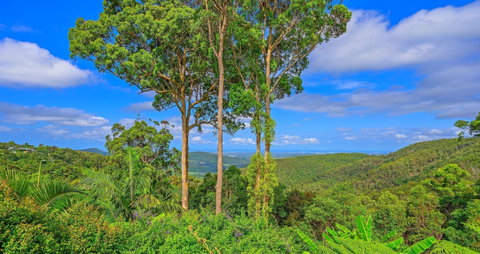 Cloud 9 Cliff Top Eagle Heights - St Kilda Accommodation 1