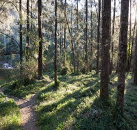 Deua River campgrounds - St Kilda Accommodation
