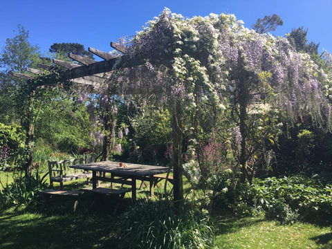 Hawthorne Cottage: Blackheath - St Kilda Accommodation 2