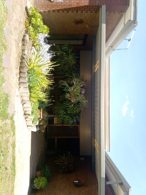 Hilltop Escape B&B - St Kilda Accommodation 0