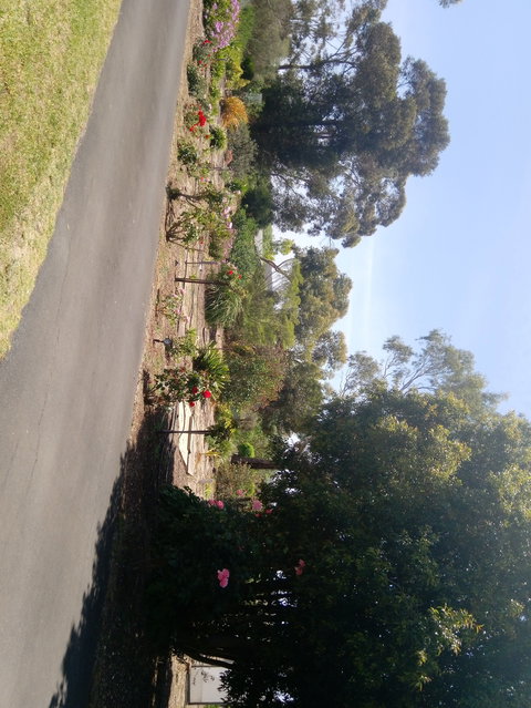 Hilltop Escape B&B - St Kilda Accommodation 1