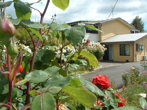 North East Restawhile Bed And Breakfast - St Kilda Accommodation 1
