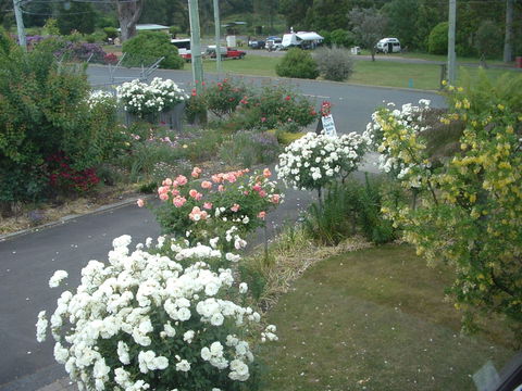 North East Restawhile Bed And Breakfast - St Kilda Accommodation 2