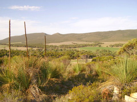 Nyroca Campsite & Group Accommodation - St Kilda Accommodation 0