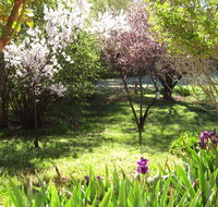 Sofala Cottage - St Kilda Accommodation