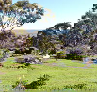 Austiny Bed and Breakfast - St Kilda Accommodation