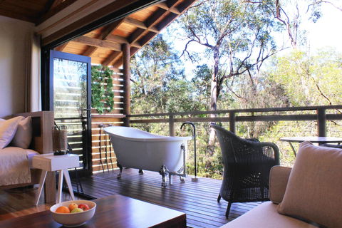 Billabong Retreat - St Kilda Accommodation 1