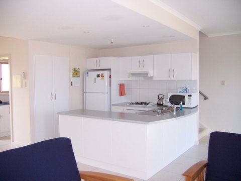 Christies Seahorse - St Kilda Accommodation 2