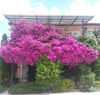 Crest Motor Inn - St Kilda Accommodation
