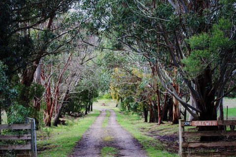 Galwiji Homestead - St Kilda Accommodation 1
